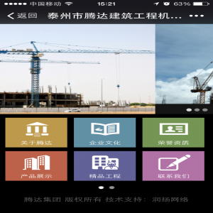 腾达塔吊集团  微信开发维护