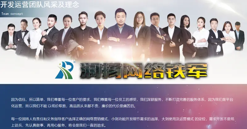 石药集团采销管理软件开发
