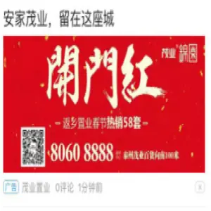 茂业锦园 信息流推广案例