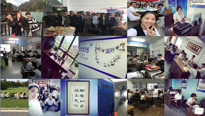 2015年 发展盈利与展望
