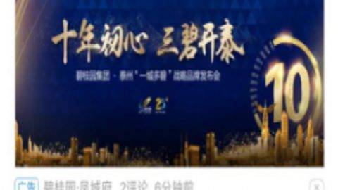 碧桂园凤城府  推广案例